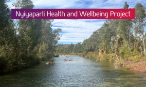 Nyiyaparli Health and Wellbeing Project