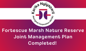 Fortescue Marsh Nature Reserve Joint Management Plan Completed!