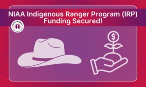 NIAA Indigenous Ranger Program (IRP) Funding Secured!
